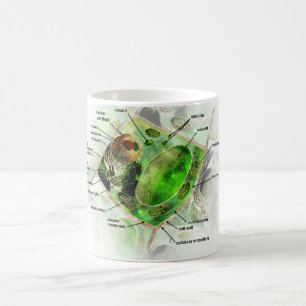 Taza De Café célula de la planta