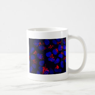 Taza De Café Células madres embrionarias humanas