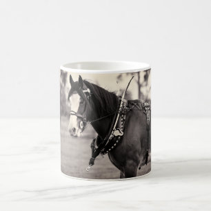 Taza De Café Cerca - caballo ido días de Clydesdale