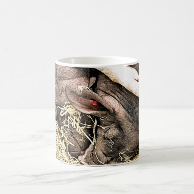 TAZA DE CAFÉ CERDITOS CUIDADOS (Centro)