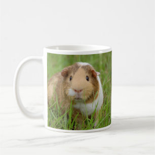 Taza De Café Cerdo de Guinea en la hierba
