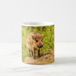 Taza De Café Cerdo de jabalí