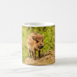Taza De Café Cerdo de jabalí