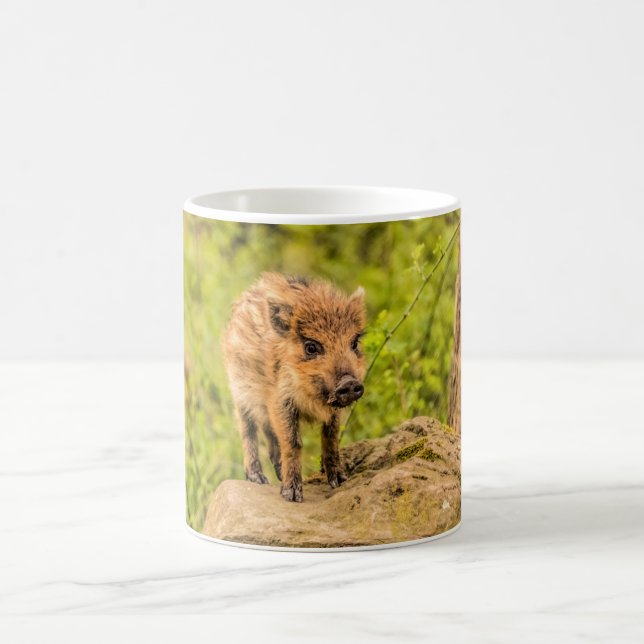 Taza De Café Cerdo de jabalí (Centro)