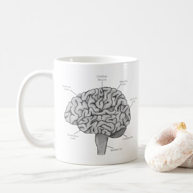 Taza De Café Cerebro Científico (Con donut)