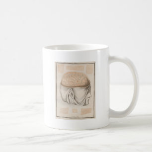 Taza De Café Cerebro uno - Neuroanatomía