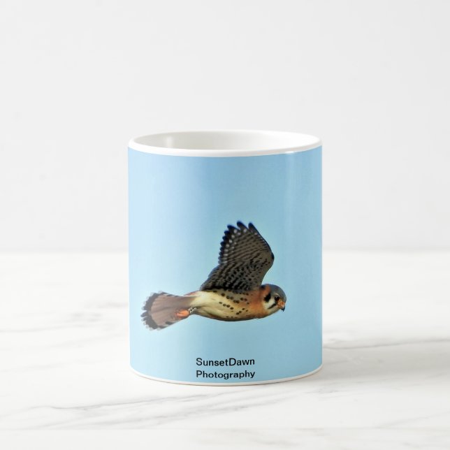 Taza De Café Cernícalo americano (Centro)