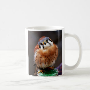 Taza De Café Cernícalo curioso