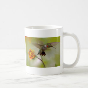 Taza De Café Cernido