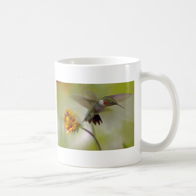 Taza De Café Cernido (Derecha)