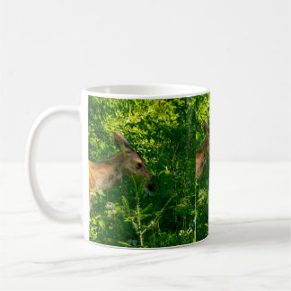 Taza De Café Cerveza en el bosque.