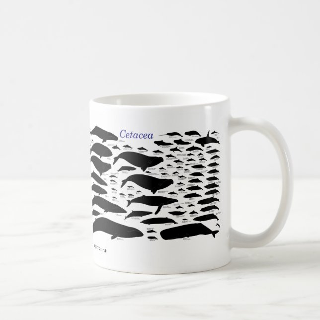 Taza De Café Cetaceans (Derecha)
