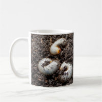 Chafer Larva Bug Mug
