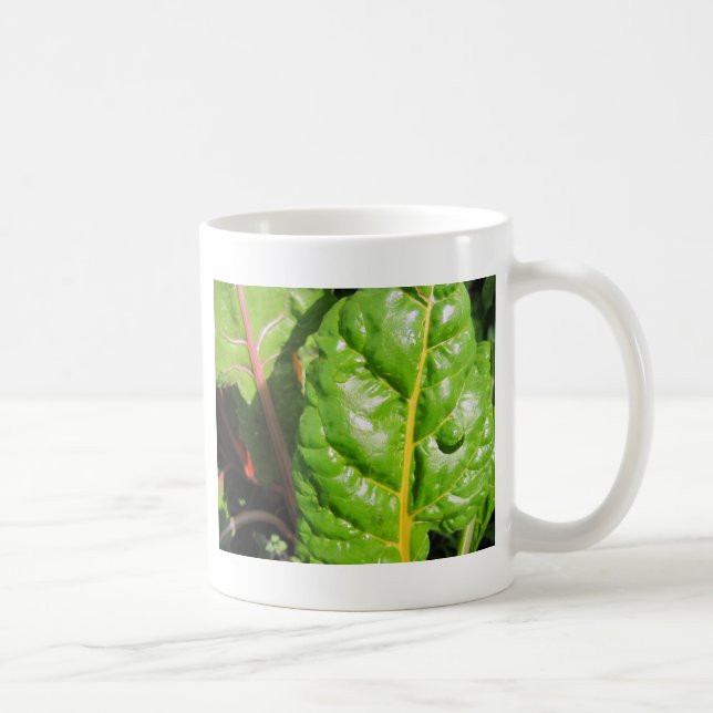 Taza De Café Chards suizos (Derecha)