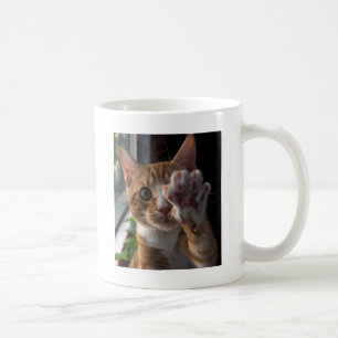 Taza De Café charla a la pata