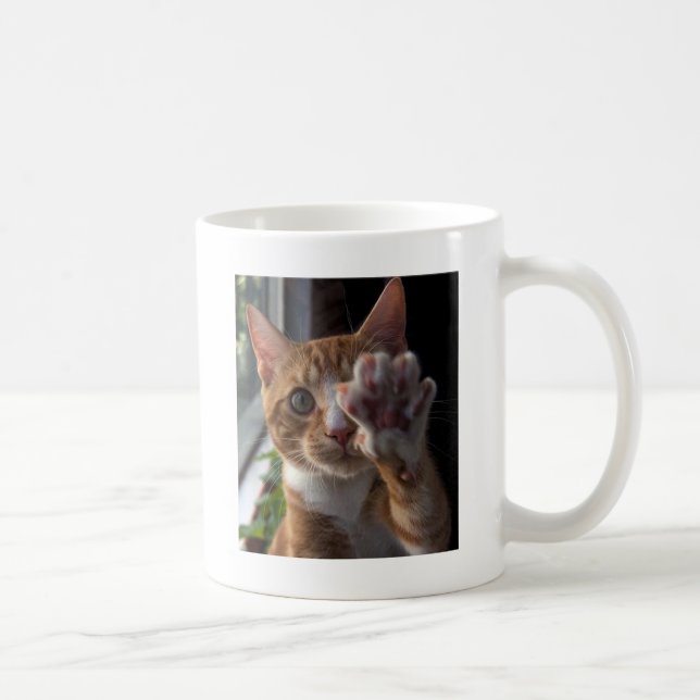 Taza De Café charla a la pata (Derecha)