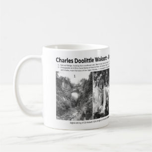 Taza De Café Charles Doolittle Walcott I - promoción del