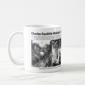 Taza De Café Charles Doolittle Walcott I - promoción del