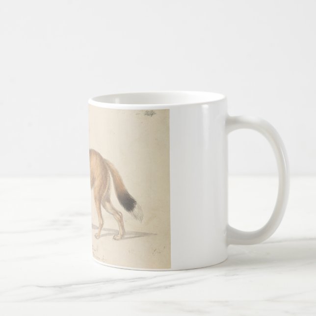 Taza De Café Charles Hamilton Smith - Wolf de las Islas Falklan (Derecha)