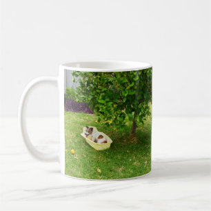 Taza De Café Charlie El Tiempo De Baño Del Zorro Terrier, Café 