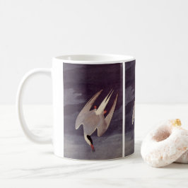 Taza De Café Charrán Ártico por John James Audubon, Aves Antigu