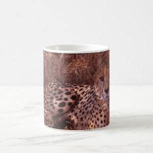Taza De Café Cheetah Stare
