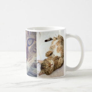 Taza De Café Chestermug