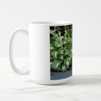Taza De Café Chica de Bailey