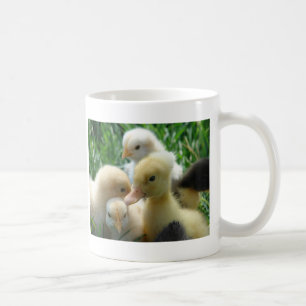 Taza De Café Chicas y pollos