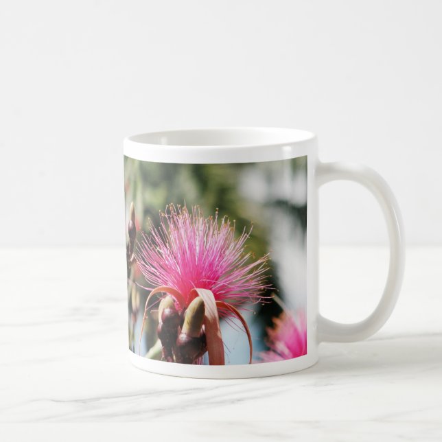 Taza De Café Chichen Itza, Yucatán, México (Derecha)