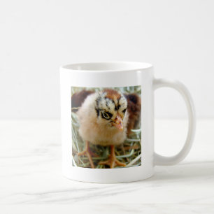 Taza De Café Chick