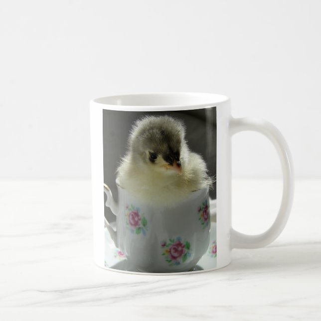 Taza De Café Chick de Cochin Azul en un vaso de agua (Derecha)