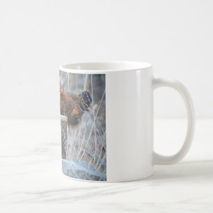 Taza De Café Chicken Hen Fiesta Mug