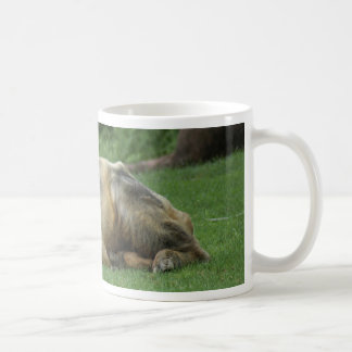 Taza De Café chinese-takin-1