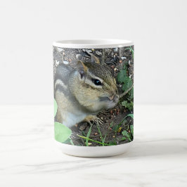 Taza De Café Chipmunk Busy Eating In The Garden Photo
