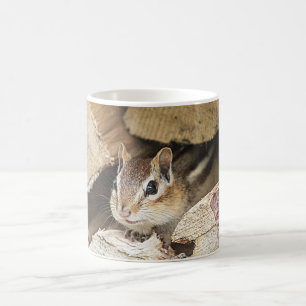 Taza De Café Chipmunk en una pila de madera