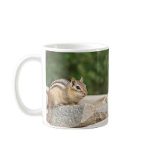 Chipmunk en una roca