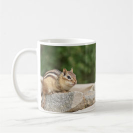 Taza De Café Chipmunk en una roca