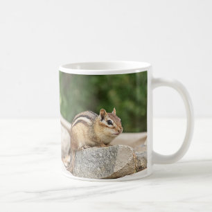 Taza De Café Chipmunk en una roca