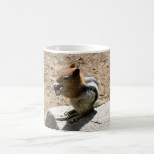 Taza De Café Chipmunk en Yosemite, California