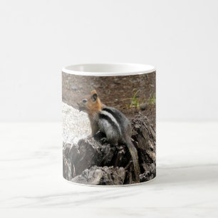 Taza De Café Chipmunk en Yosemite, California