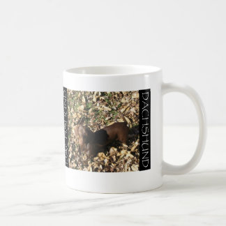 Taza De Café Chocolate Doxie