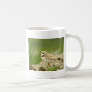 Taza De Café Chorlito de Pipng