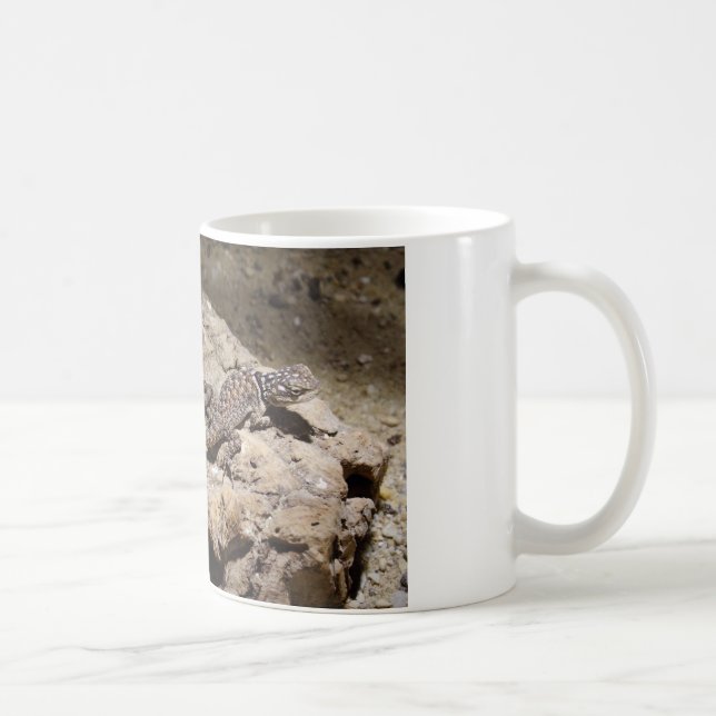 Taza De Café Cianogenia celoporus (Derecha)