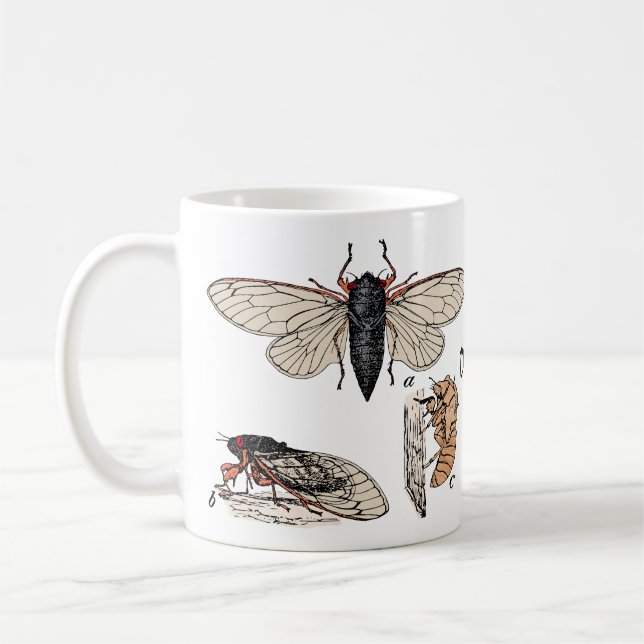 Taza De Café Cicadas Doble Brood 2024 Mug (Izquierda)