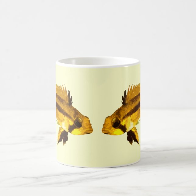Taza De Café Ciclido enano Apistogrammas (Centro)