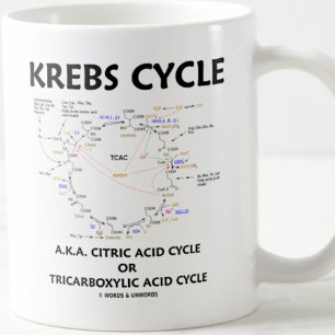 Taza De Café Ciclo de Krebs A.K.A. Ciclo de Ácido Cítrico Trica