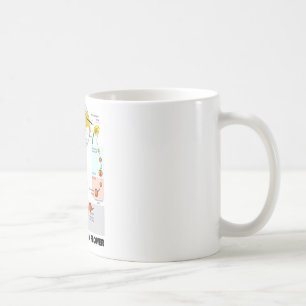 Taza De Café Ciclo vital de una flor (angioesperma)