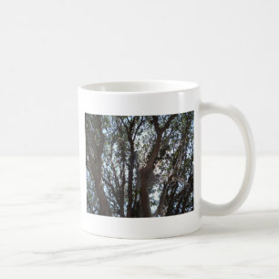 Taza De Café cielo azul de roble y musgo