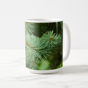 Taza De Café Cierre de árbol de pino